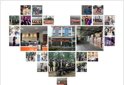 8G黄、8G荧光黄、5#绿、荧光黄8G等塑料荧光颜料 鞍山七彩惠丰标准详解及市场采购指南